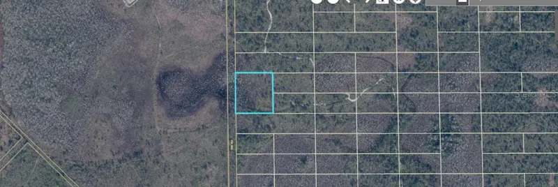 407 Dill Rd, FL