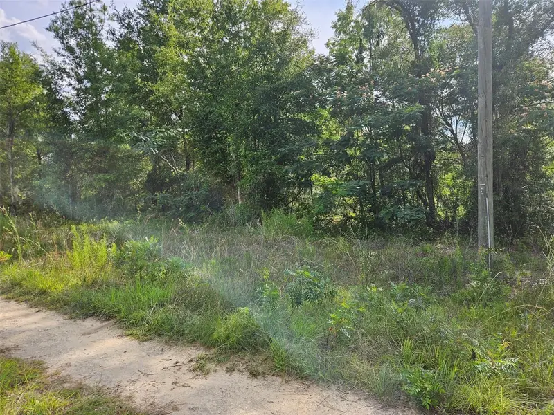 Tbd Ne 153rd Ave, FL