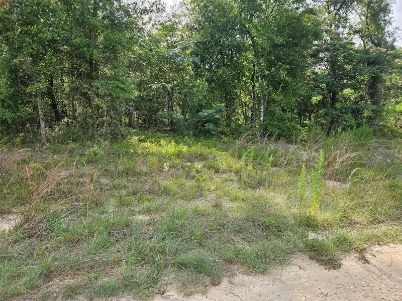 Tbd Ne 153rd Ave, FL