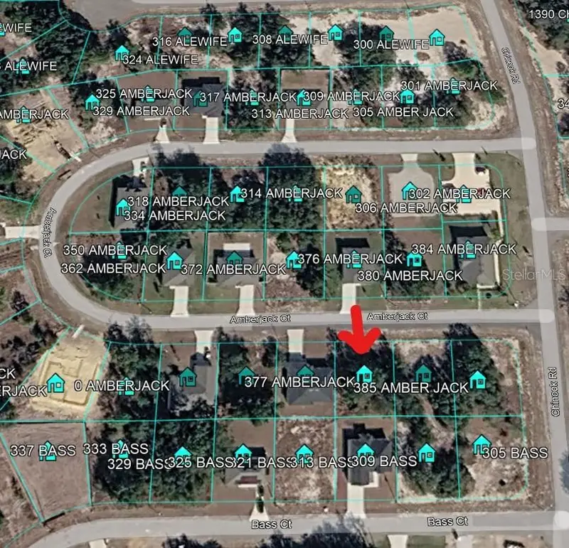 377 Amberjack Ct, FL