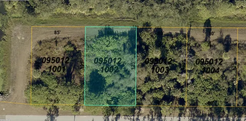 0950121002 Franzino Ave, FL