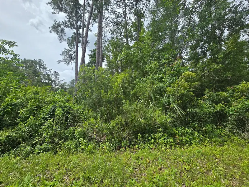 320 Sequoia Dr, FL