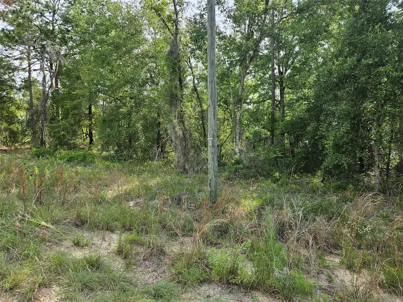 Tbd Ne 153rd Ave, FL