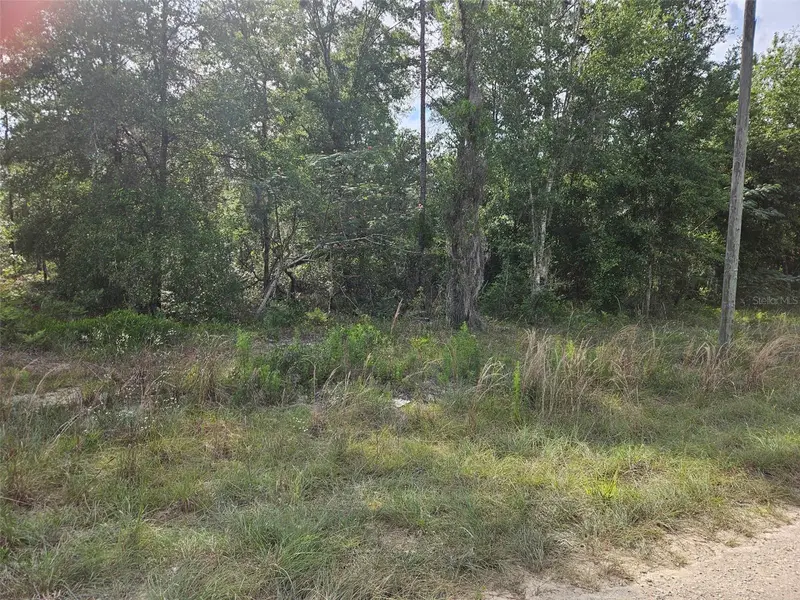 Tbd Ne 153rd Ave, FL