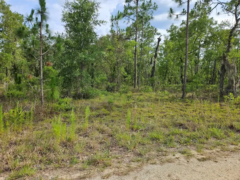 Tbd Ne 12th Ln, FL