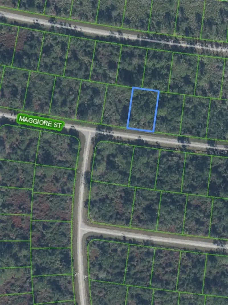 7930 Maggiore St, FL