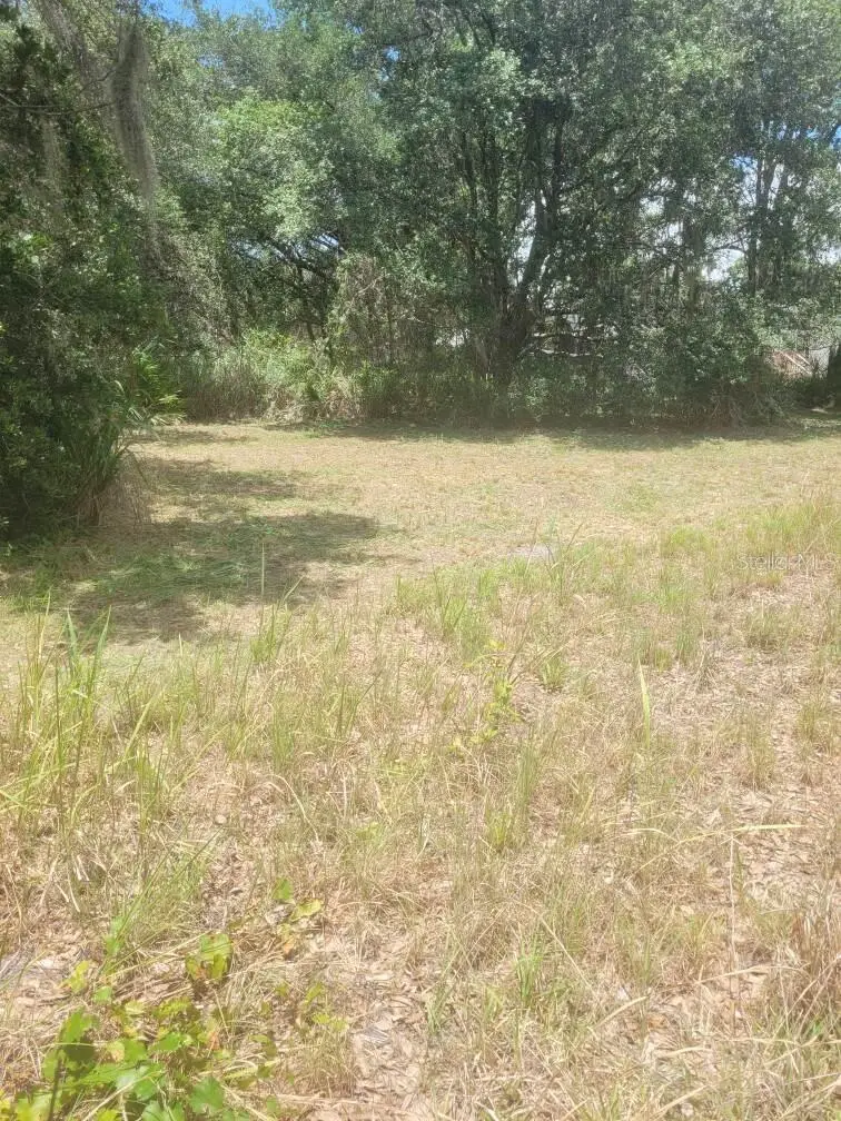6631 Merle St, FL
