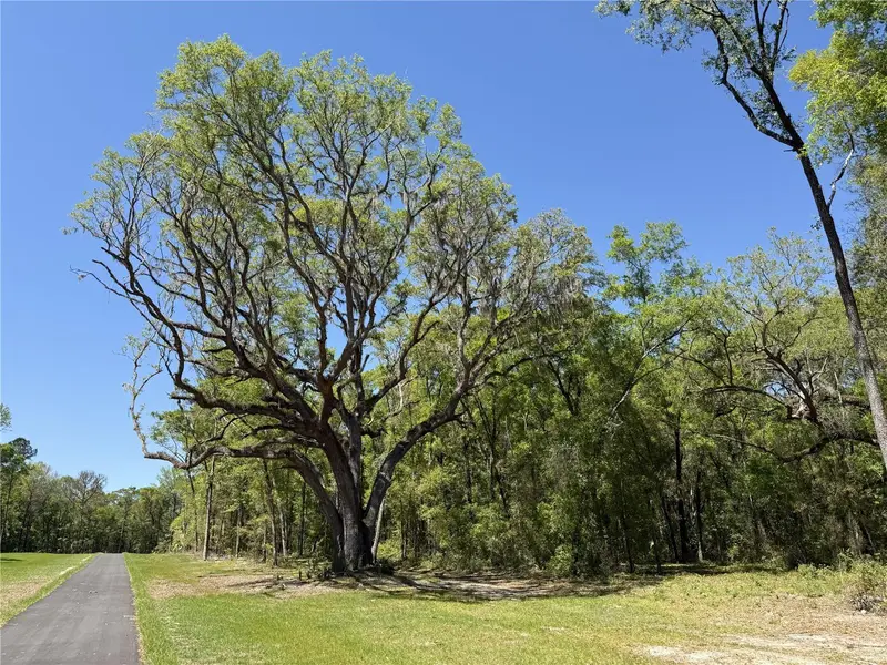 Irvine Acres #5 (13ac) W Hwy 318, FL