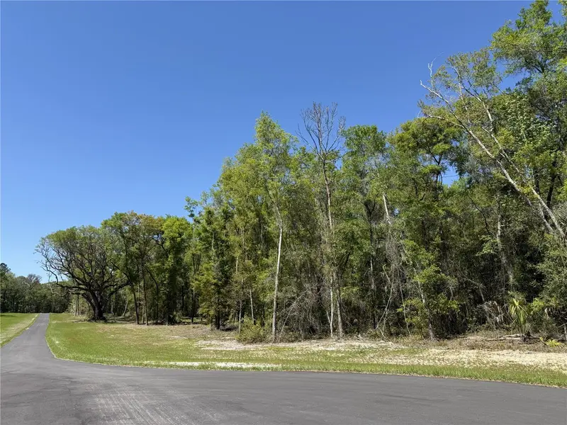 Irvine Acres #5 (13ac) W Hwy 318, FL