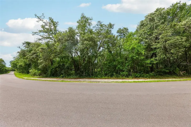 33340 Tombstone St, FL