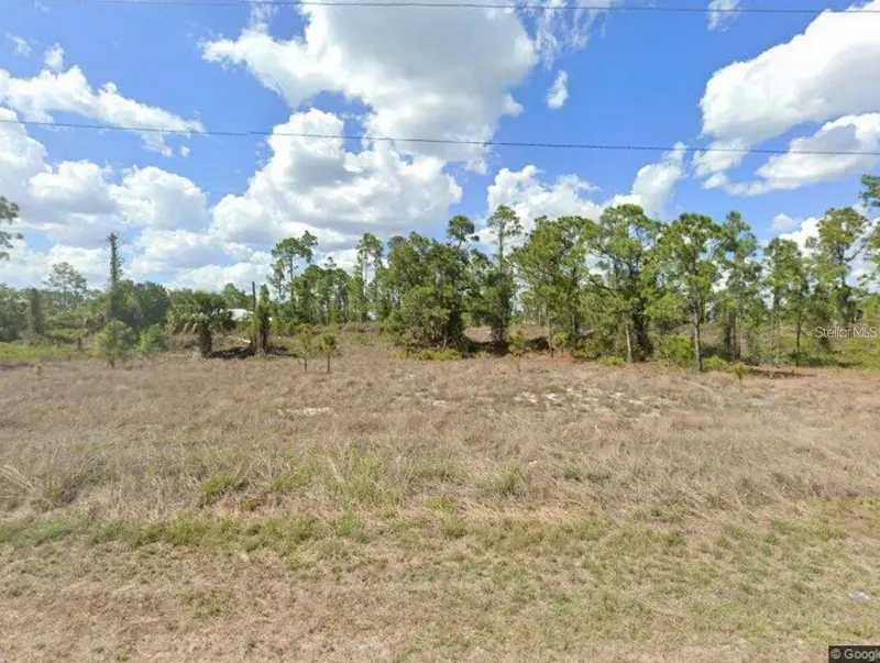 1121 Damen St E, FL