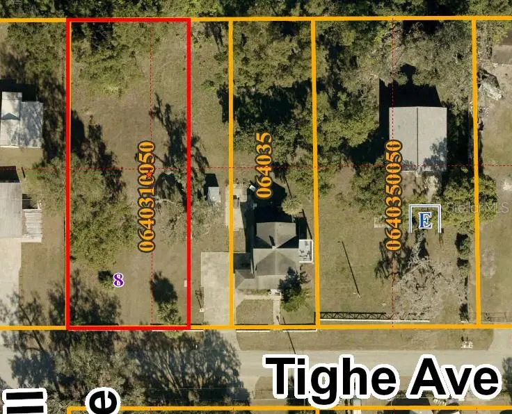 Tighe St, FL