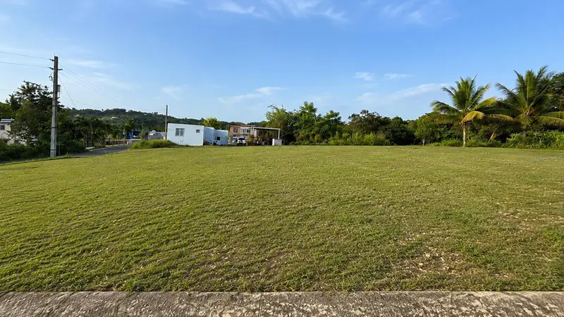Carr 447 Km Hm 41 Urb Lomas Aibonito #8, PR