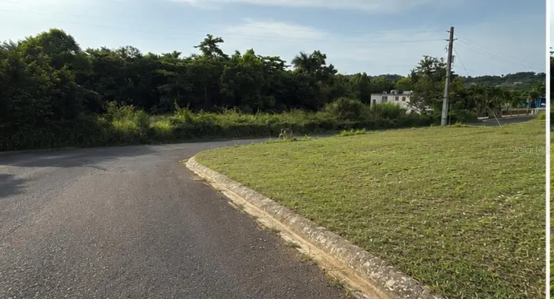 Carr 447 Km Hm 41 Urb Lomas Aibonito #8, PR