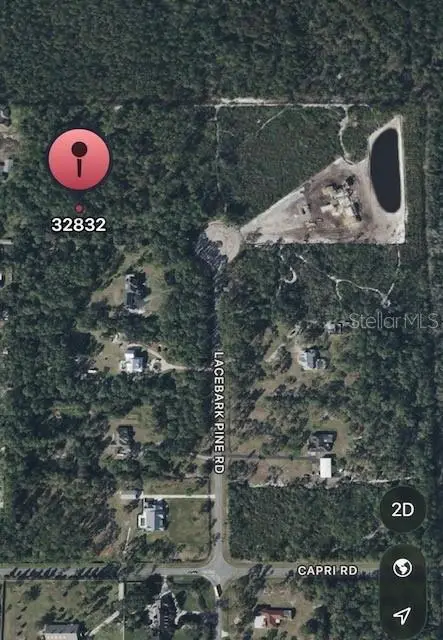 13114 Lacebark Pine Rd, FL
