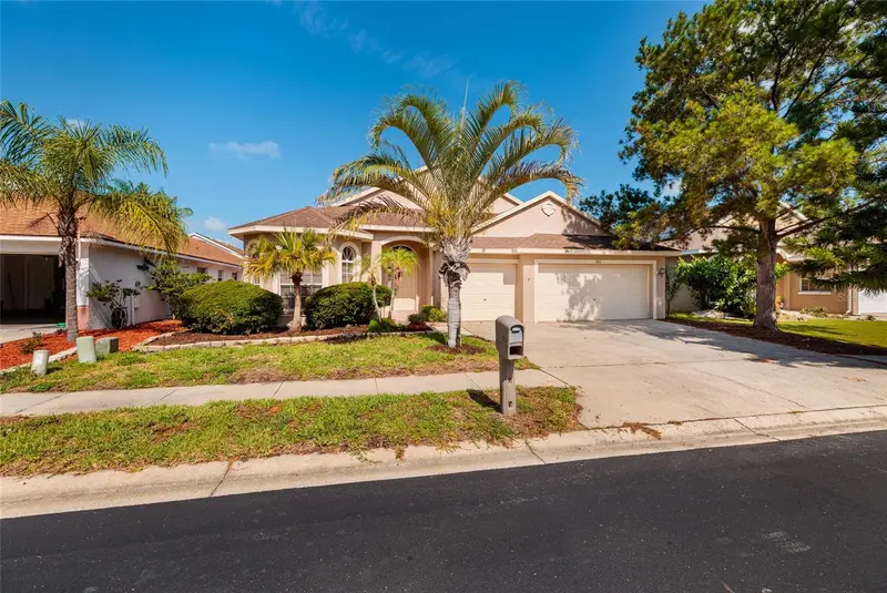 1805 Wood Bend St, FL