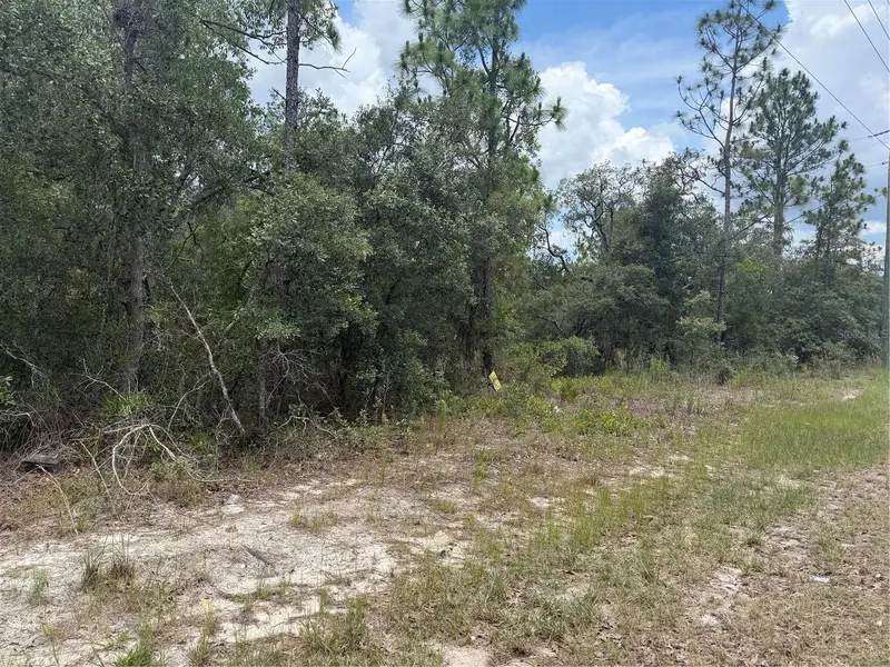 6215 S Premiere Ave, FL