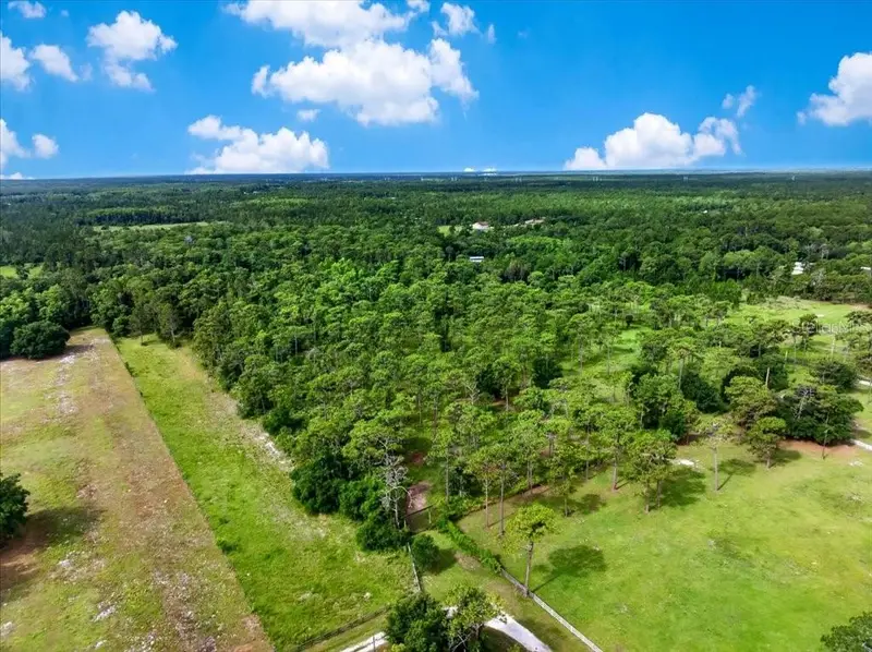 4600 Saddle Creek Run, FL