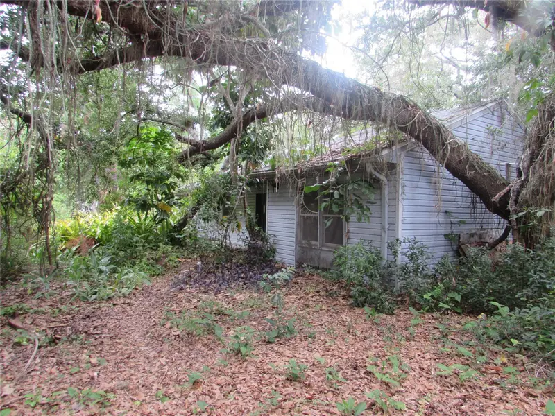 4949 Dorothy Ave, FL