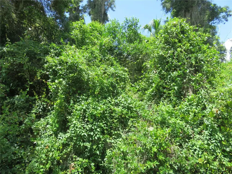 00 Se 142 Pl, FL