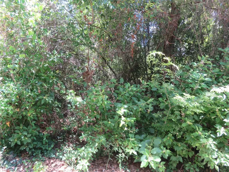 00 Se 142 Pl, FL