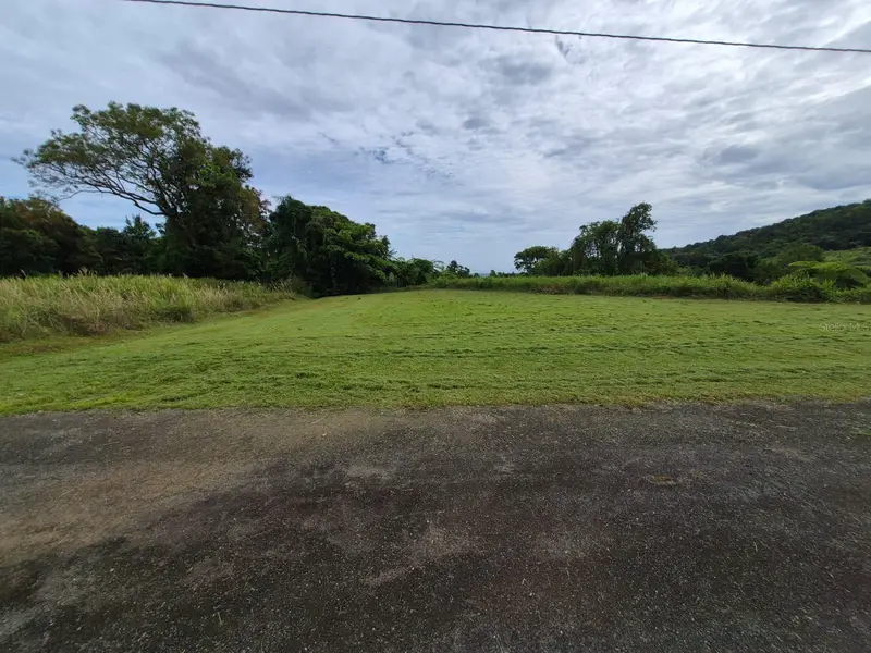 Pr 956 Km 8.8 E Sector Los Medinas Bo Guzman Arriba, PR