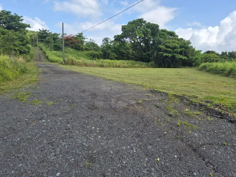 Pr 956 Km 8.8 E Sector Los Medinas Bo Guzman Arriba, PR
