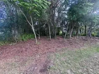 3253 Sardinia Ter, FL
