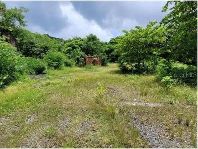Felipe La Voz Rodriguez, PR