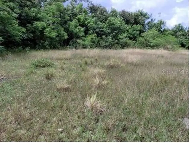 Felipe La Voz Rodriguez, PR