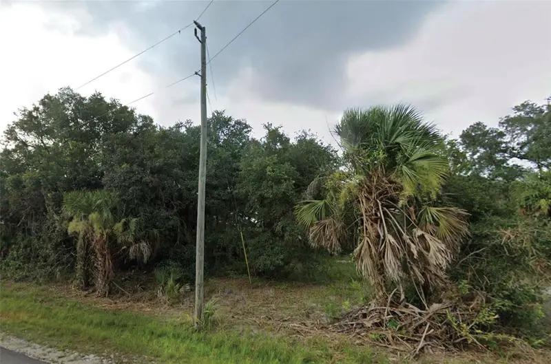 Greentree Ave, FL