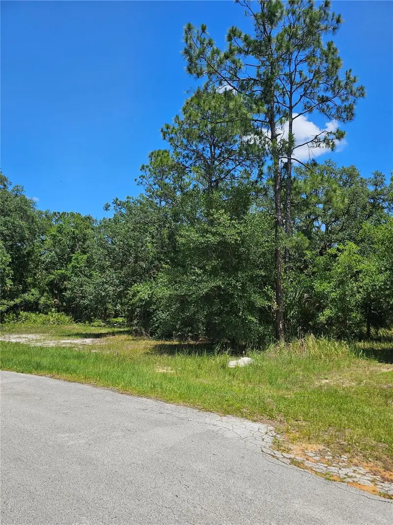 223 Starling Ct, FL