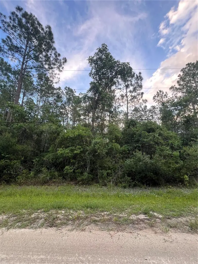 1411 Elder St, FL