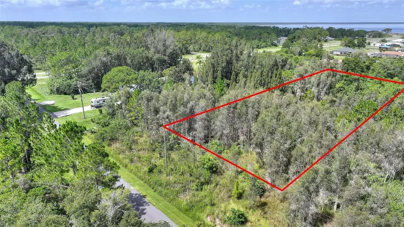 Arborea Dr N, FL