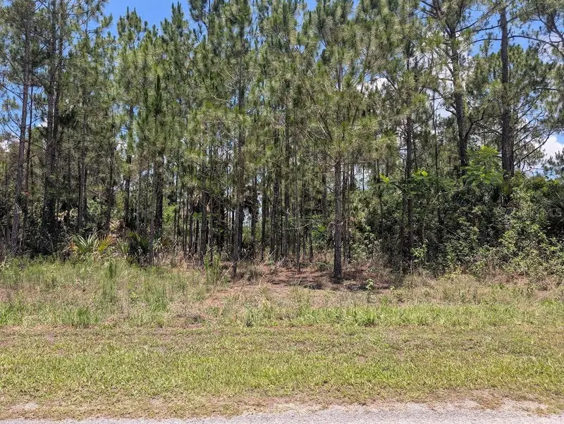 7 Avocado Dr, FL