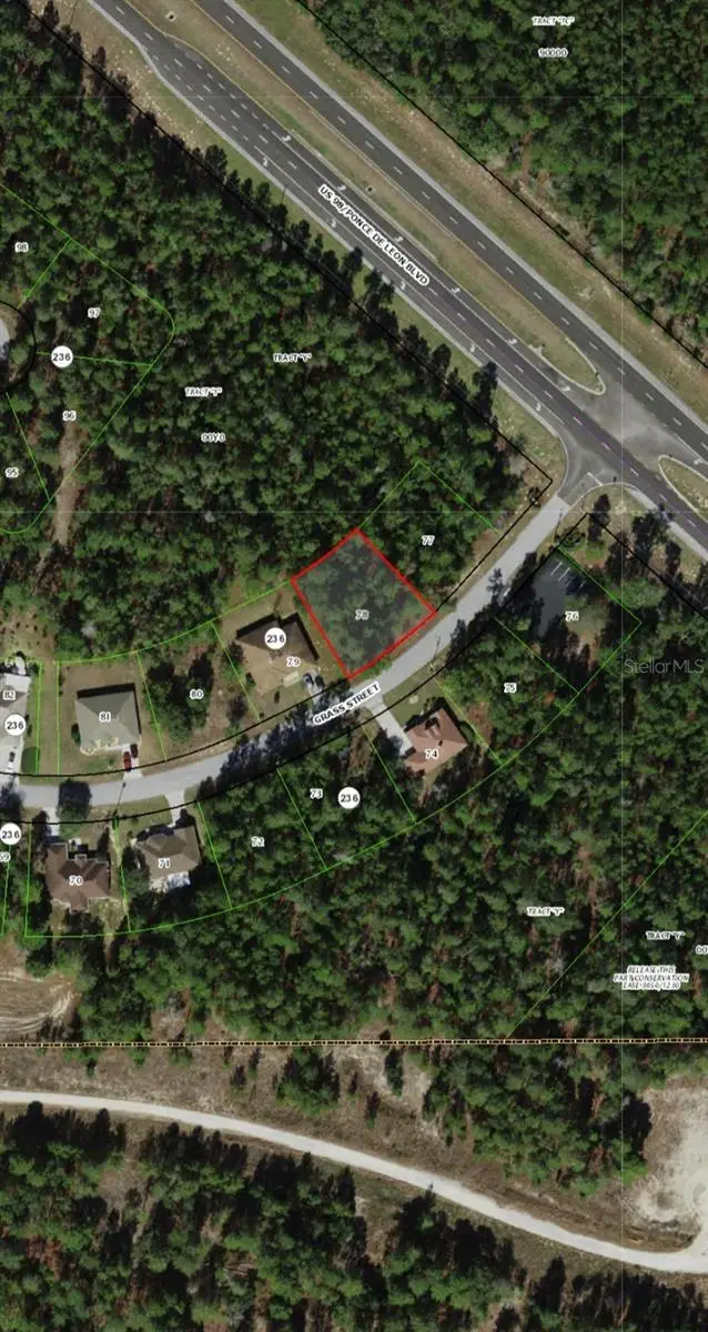111 Grass St, FL