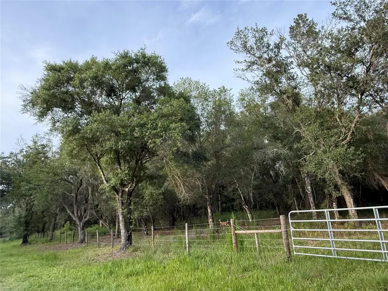 Se Brown Rd, FL