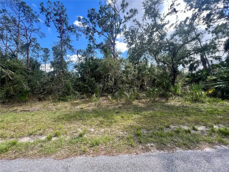 Vizza Ln, FL