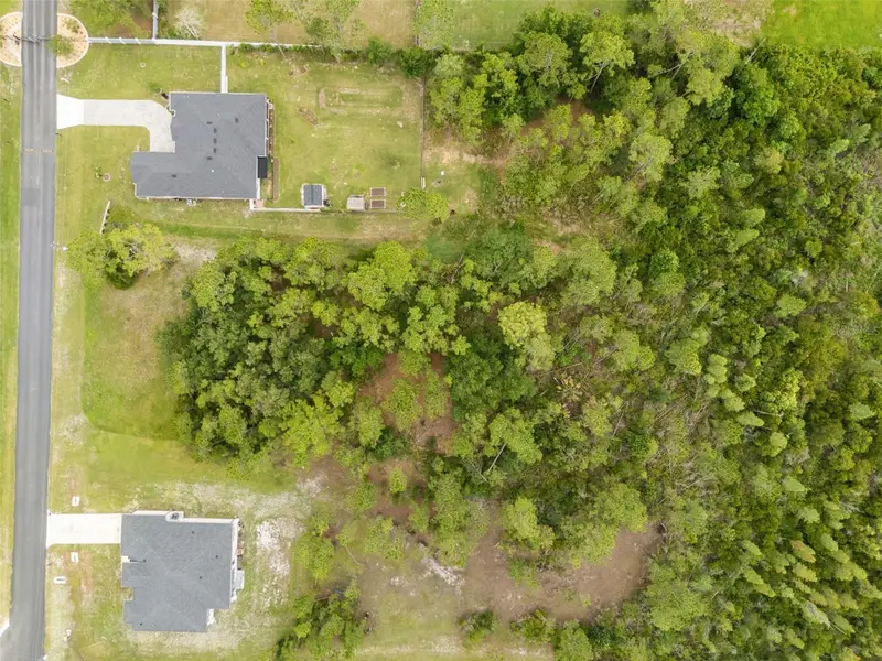 8017 Woodleaf Blvd, FL