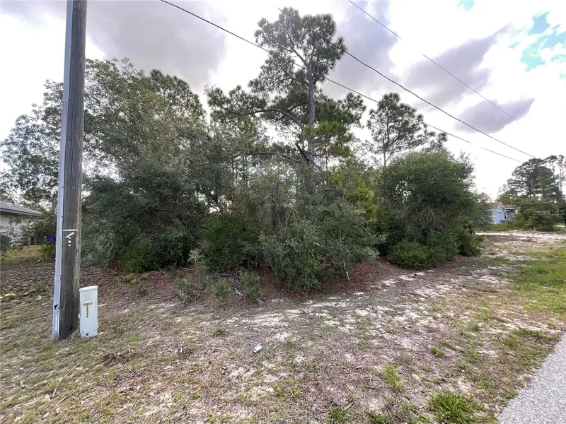 515 Concert Dr, FL