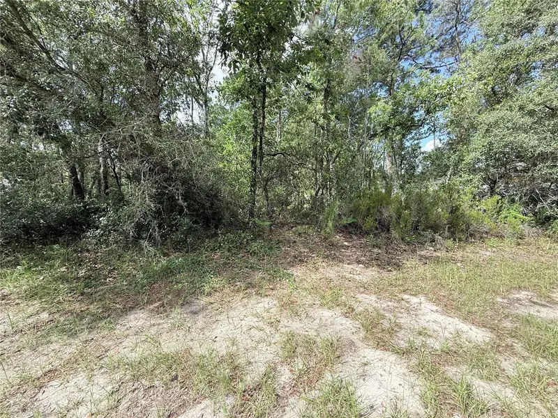 Tbd Sw 65th Avenue Rd, FL