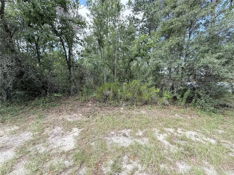 Tbd Sw 65th Avenue Rd, FL