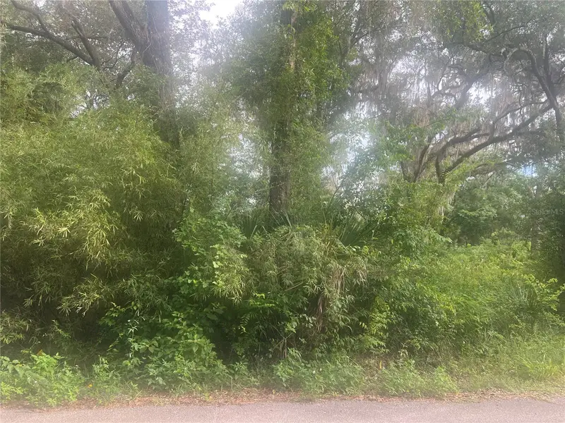 Ne 32nd St, FL