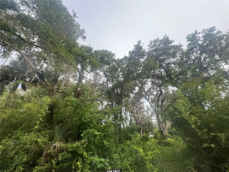 Ne 32nd St, FL