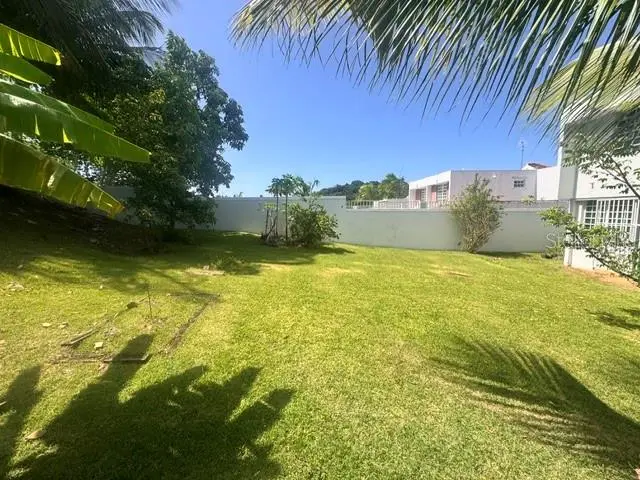 03 Rio Mameyes, PR