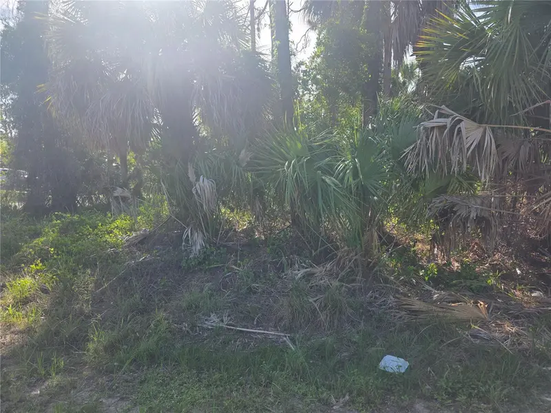 Prime Ter, FL