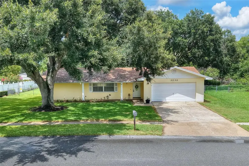 3230 Cross Fox Dr, FL