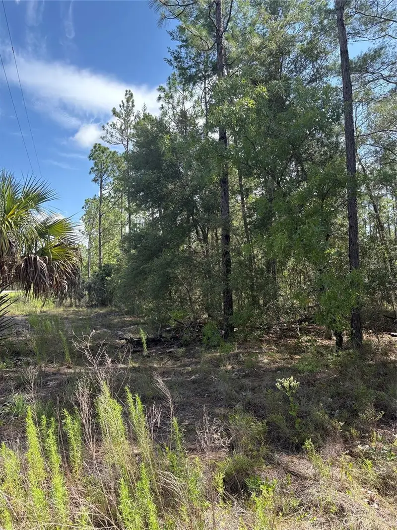 Tba Redwing Rd, FL