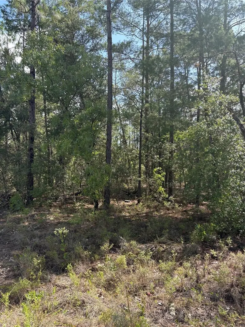 Tba Redwing Rd, FL