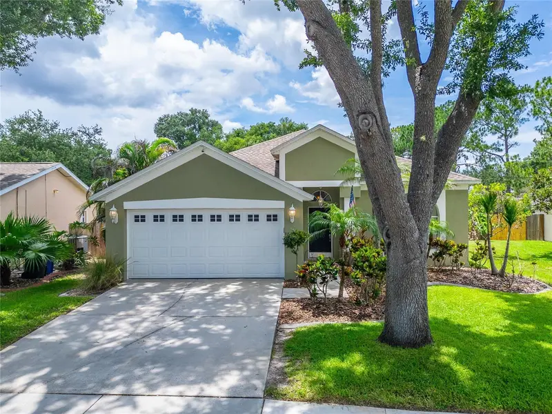 11514 Wellman Dr, FL